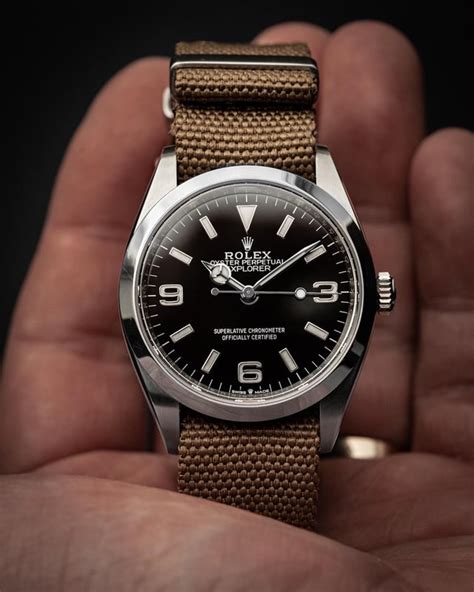 rolex explorer on a nato.